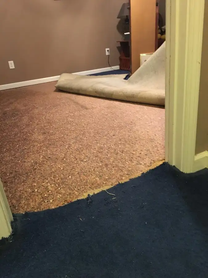 Carpet pad removal revealing water damage during Drying & Dehumidification in Melbourne