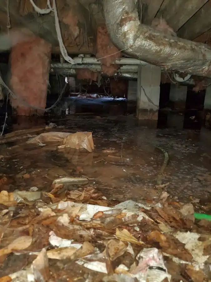 Crawl space flood assessment for Leak Detection & Repair in Melbourne